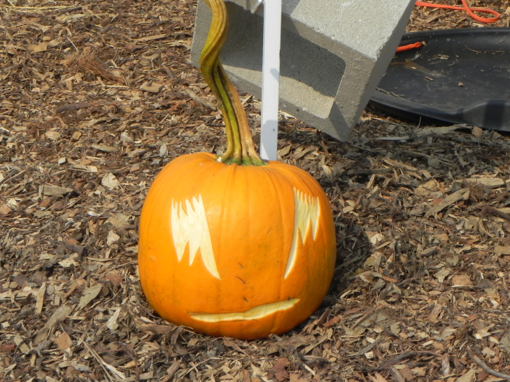 Eyes, Nipomo Pumpkin Patch best carving idea